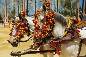 Frontera: Decorated Horses - at the Feria del Caballo (Horse Fair)