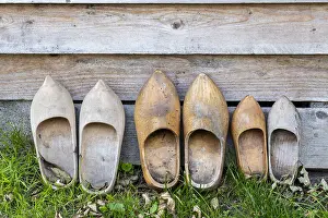 110219: Decorative wooden clogs in a garden