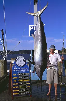 Anglers: DEEP SEA FISHING - caught Black Marlin, 159 Kg