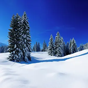Untouched: Deep snow-covered untouched winter landscape at