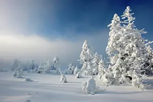 Untouched: Deep snow-covered untouched winter landscape, snow-covered