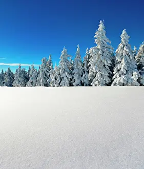 Cover: Deep snow-covered winter landscape at Fichtelberg