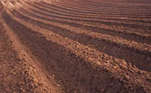 Ploughed: DeepFurrows
