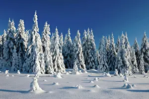 Deeply: Deeply snow-covered untouched winter landscape