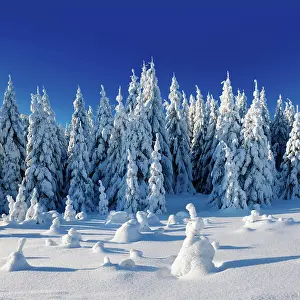 Deeply: Deeply snow-covered untouched winter landscape