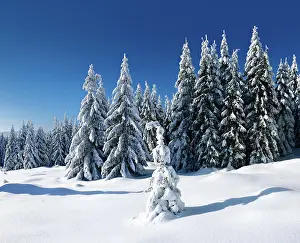 Untouched: Deeply snow-covered untouched winter landscape