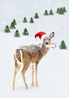 Candy: Deer with Christmas hat and candy cane in winter scene