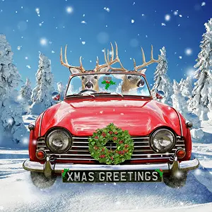 Leaving: Deer - driving car through Christmas winter scene