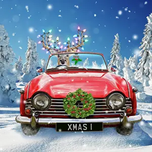 220719: Deer - driving car through Christmas winter snow
