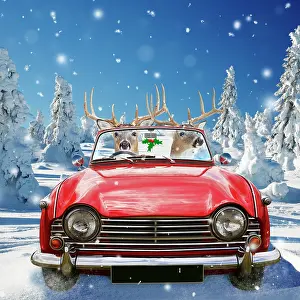 Leaving: Deer - driving car through winter scene
