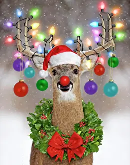 Balls: Deer