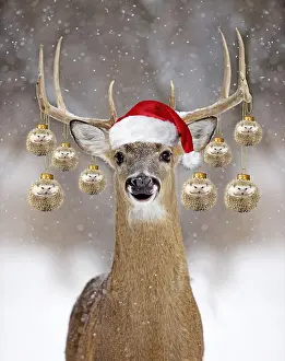 Baubles: Deer - in winter snow wearing Christmas hat with