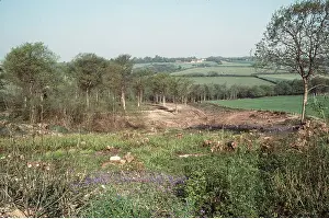 Destructive: Deforestation of Coppice - destroyed to increase farmland