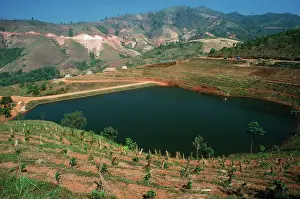 Damage: DEFORESTATION - destruction of Tropical Forests