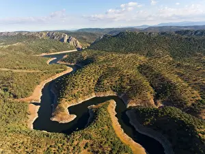 Holm: Dehesa, holm oak forest with river, drone shot