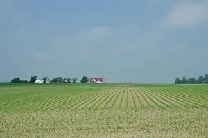 Fertile: Denmark, Island of Bornholm. Countryside