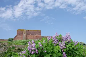 Mediaeval: Denmark, Island of Bornholm. Ruins of Hammershus