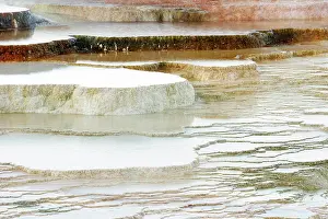 Mammoth: Deposits at Mammoth Hotsprings