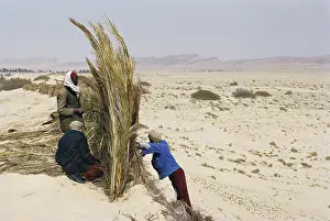 Encroachment: Desert Erosion Control
