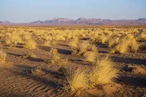 Alyssa Giustozzi: Desert landscape, Iran