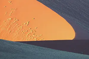 Windhoek: Desert Landscape showing sand dunes covered with unidentifie