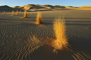 Chain: Desert landscape, Tin Akascheker, Algeria, rock