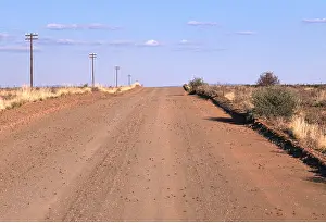 Roadside: DESERT LOCUST - hoppers swarming across road