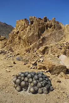 Atacama: Desert - Pan de Azucar National Park - Chile