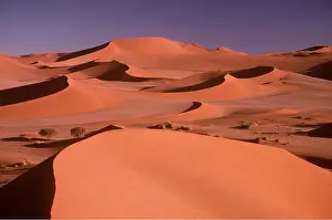 Shadows: DESERT - Sand Dunes at dawn