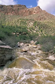 Tucson: Desert wash flooding near Tucson, Arizona, USA