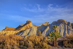 Tabernas: Desierto Tabernas - badlands and palm trees in the
