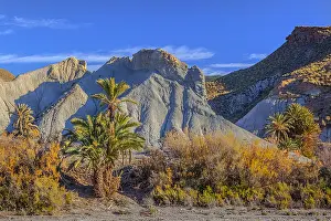 Tabernas: Desierto Tabernas - last light on badlands and palm