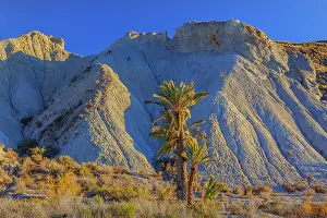 Tabernas: Desierto Tabernas - last light on badlands and palm