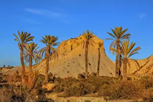 Tabernas: Desierto Tabernas - last light on badlands and palm