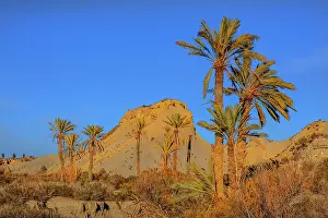 Tabernas: Desierto Tabernas - last light on badlands and palm
