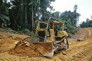 Bulldozer: Destruction of Amazon rainforest, Suriname