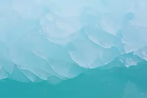230820: Details of an ice floe at Waggonwaybreen glacier