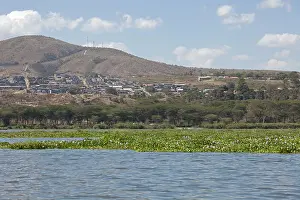 Invading: Development of housing for flower farms and geothermal