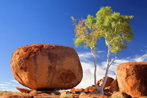 Perfectly: Devils Marbles - a Ghost Gum and a nearly perfectly