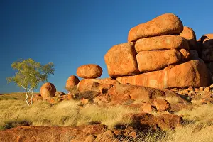 Amidst: Devils Marbles - a ghost gum tree and three balanced