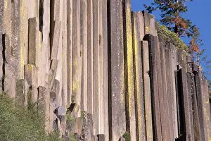 Devils: Devils Postpile National Monument