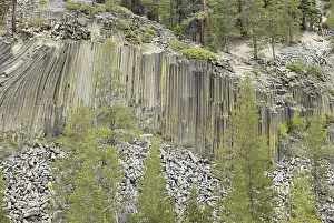 Devils: Devils Postpile National Monument