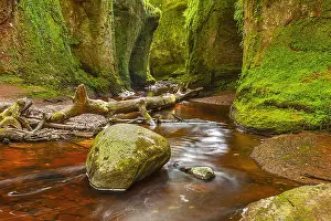 Pulpit: Devils Pulpit - narrow gorge with moss covered walls
