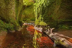 Pulpit: Devils Pulpit - narrow gorge with moss covered walls