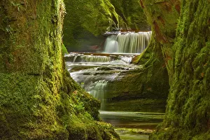 Pulpit: Devils Pulpit - water of Carnock Burn cascades over
