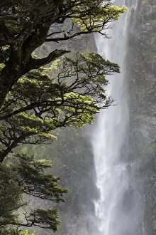 Devils: Devil's Punchbowl Waterfall, Arthur's Pass National