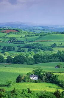 Anthony Harrison: DEVON - Cottage amidst hedgerow landscape