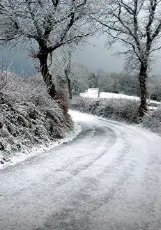 Hedgerows: DEVON - country lane after a snow storm
