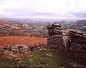 David C Dixon: DEVON - Dartmoor, Haytor Down