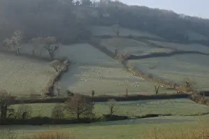 Branscombe: Devon Farm Landscape